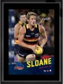 ADELAIDE_CROWS_M_5029bb91de863.jpg